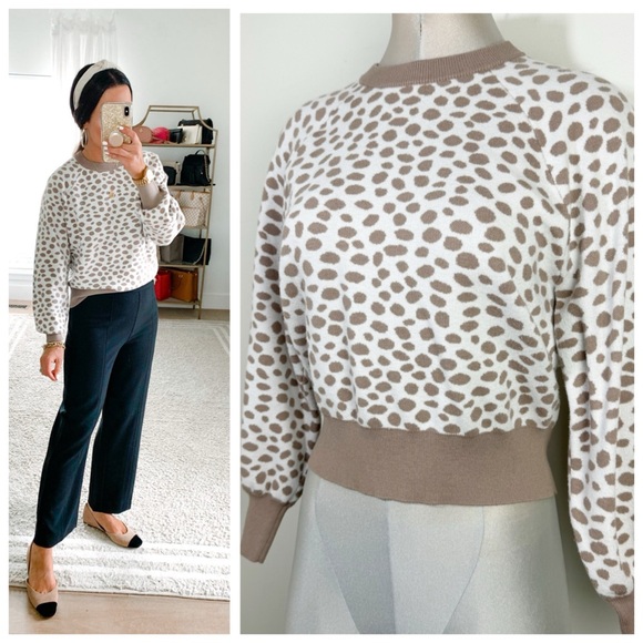Ann Taylor Leopard Print Wool Blend Round Neck Sweater Size Medium Neutral Color - Picture 1 of 7